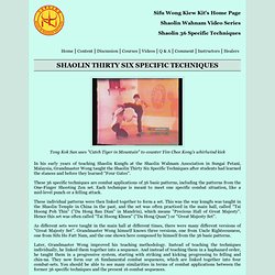 Video Clip Series: Shaolin Thirty Six Specific Techniques