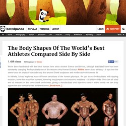 The Body Shapes Of The World’s Best Athletes Compared Side By Side