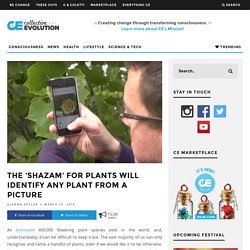 The ‘Shazam’ For Plants Will Identify Any Plant From A Picture