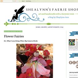 Shealynn's Faerie Shoppe: Flower Fairies