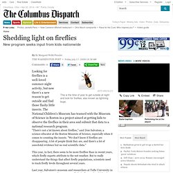 Shedding light on fireflies