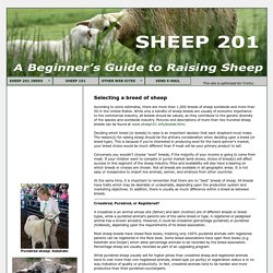 Sheep 201: Breed Selection
