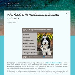 7 Dog Facts Only F1b Mini Sheepadoodle Lovers Will Understand