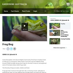 Frog Bog - Gardening Australia