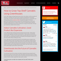 How to Grow Top Shelf Cannabis Using Greenhouses