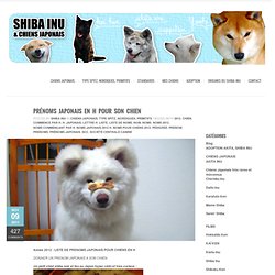 Prénoms Japonais en H pour son chien » SHIBA INU ET CHIENS JAPONAIS
