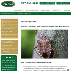 Bug Shield For Stink Bugs Ohio