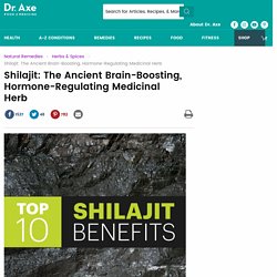 Shilajit Benefits, Shilajit Uses, Shilajit Nutrition, Shilajit Powder