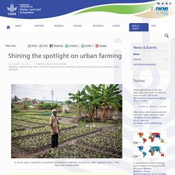 Shining the spotlight on urban farming / Water, Land and Ecosystems Water, Land and Ecosystems