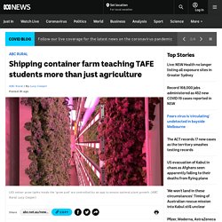 Shipping container farm teaching TAFE students more than just agriculture