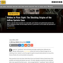 Hidden in Plain Sight: The Shocking Origins of the Jeffrey Epstein Case