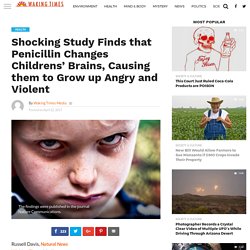 Shocking Study Finds that Penicillin Changes Childrens’ Brains, Causing them to Grow up Angry and Violent - Waking Times Media