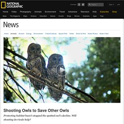 Shooting Owls to Save Other Owls