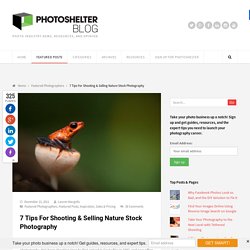 7 Tips For Shooting & Selling Nature Stock Photography
