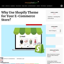 Why Use Shopify Theme for Your E-Commerce Store?