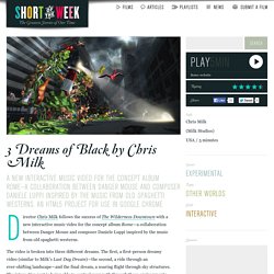 Short interactive film: 3 Dreams of Black by Chris Milk