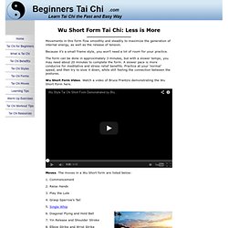The Wu Short Form: Recommended for Tai Chi Beginners