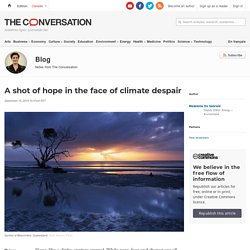 A shot of hope in the face of climate despair
