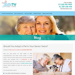 Should You Adopt a Pet in Your Senior Years?