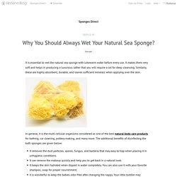 Why You Should Always Wet Your Natural Sea Sponge? - Sponges Direct