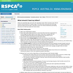 What should I feed my kitten? - RSPCA Australia knowledgebase