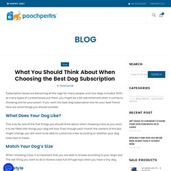 What You Should Think About When Choosing the Best Dog Subscription