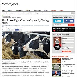 Should We Fight Climate Change By Taxing Meat?