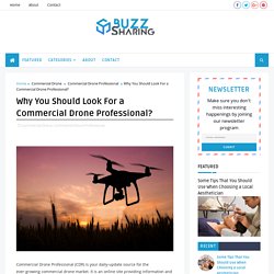 Why You Should Look For a Commercial Drone Professional?