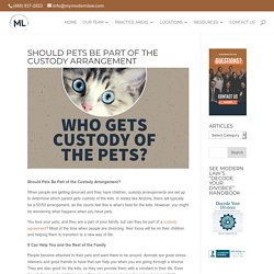 Should Pets Be Part of the Custody Arrangement - My Modern Law