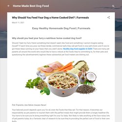 Why Should You Feed Your Dog a Home Cooked Diet?