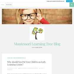 Why should You Put Your Child to an Early Learning Centre? – Montessori Learning Tree Blog