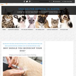 Why Should You Microchip Your Dog? - Spay Neuter Hospital in Austin