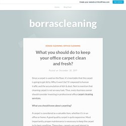 What you should do to keep your office carpet clean and fresh? – borrascleaning