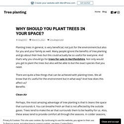 WHY SHOULD YOU PLANT TREES IN YOUR SPACE? – Tree planting