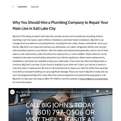 Why You Should Hire a Plumbing Company to Repair Your Main Line in Salt Lake City