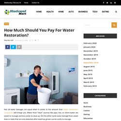 How Much Should You Pay For Water Restoration? - shadowed mare
