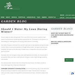 Should I Water My Lawn During Winter?