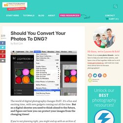 Should You Convert Your Photos to DNG?