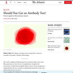 Should You Get an Antibody Test?
