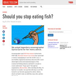 Should you stop eating fish?