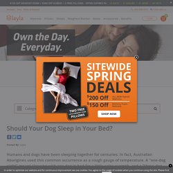 Is it Safe to Sleep with Your Dog?