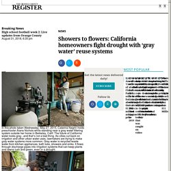 Showers to flowers: California homeowners fight drought with ‘gray water’ reuse systems