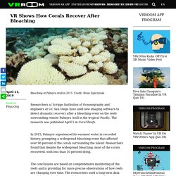 VR Shows How Corals Recover After Bleaching