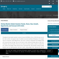 Size, Share, Price Trends, Report and Forecast