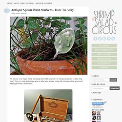 how to-sday . antique spoon plant markers - Shrimp Salad Circus