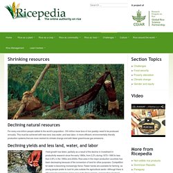 Shrinking resources - Ricepedia