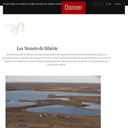 Les Nenets de Sibérie