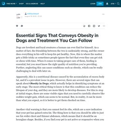 Essential Signs That Conveys Obesity in Dogs and Treatment You Can Follow: sidebysidepet — LiveJournal