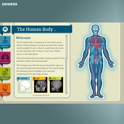 Interactive human body