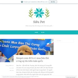 Sieupet.com-Đơn vị mua bán thú cưng uy tín trên toàn quốc – Siêu Pet